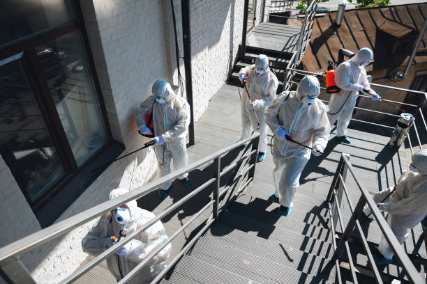 Asbestos and Lead Testing During Mold Inspection in Leeds, AL