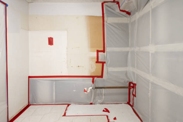 Best HVAC Mold Inspection and Cleaning  in Leeds, AL