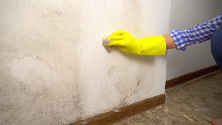 Best Air Quality Testing for Mold Spores  in Leeds, AL