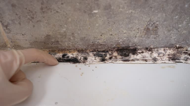 Best Indoor Air Quality Assessment  in Leeds, AL